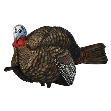 Avian-X LCD Half-Strut Jake decoy assembly highlights lifelike realism for early-season hunts