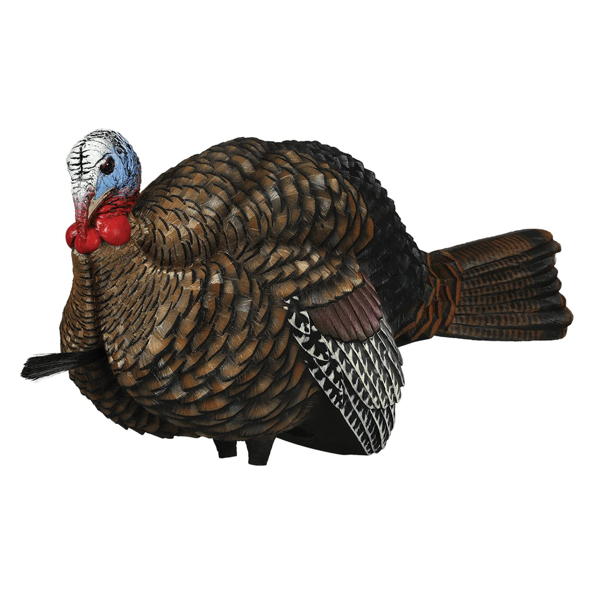 Avian-X LCD Half-Strut Jake decoy assembly highlights lifelike realism for early-season hunts