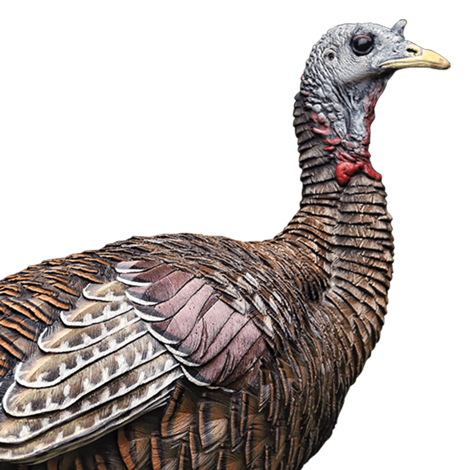 Avian-X LCD Lookout Hen decoy with carry bag for portable hunting