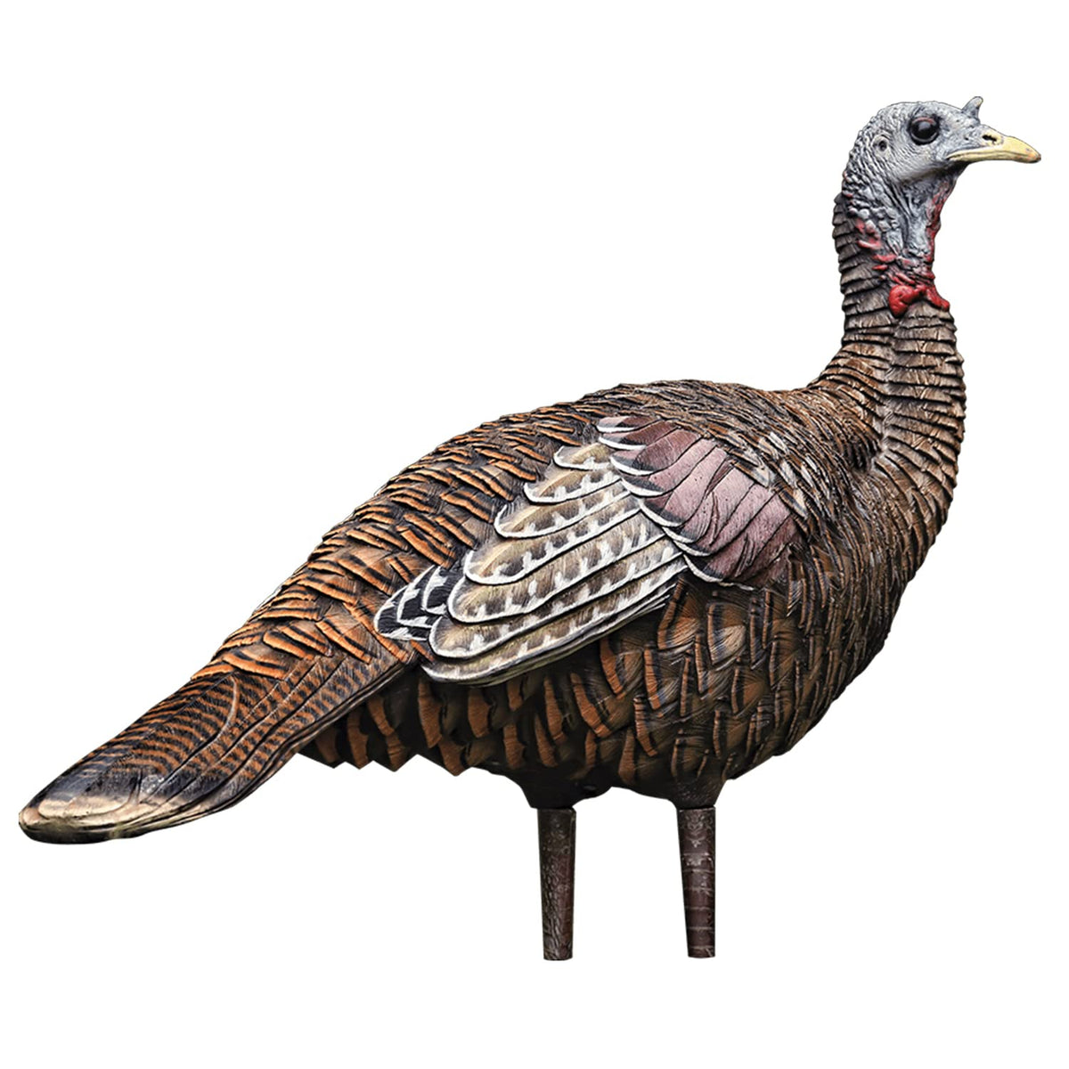 Avian-X LCD Lookout Hen decoy folded for easy transport and quiet field setup