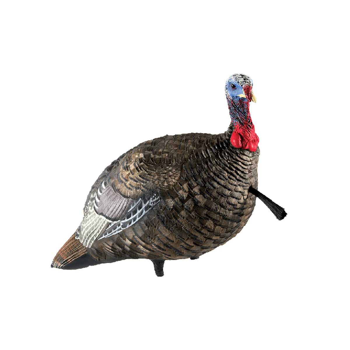 Avian-X LCD Quarter-Strut Jake front view, realistic stand-in to attract gobblers