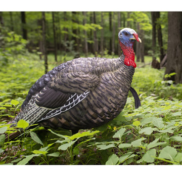 Avian-X LCD Quarter-Strut Jake in vest, portable decoy ready for hunting setups