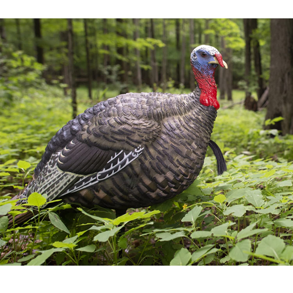 Avian-X LCD Quarter-Strut Jake in vest, portable decoy ready for hunting setups