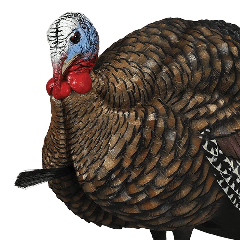 Avian-X LCD realistic feather reflections add depth to plumage in light