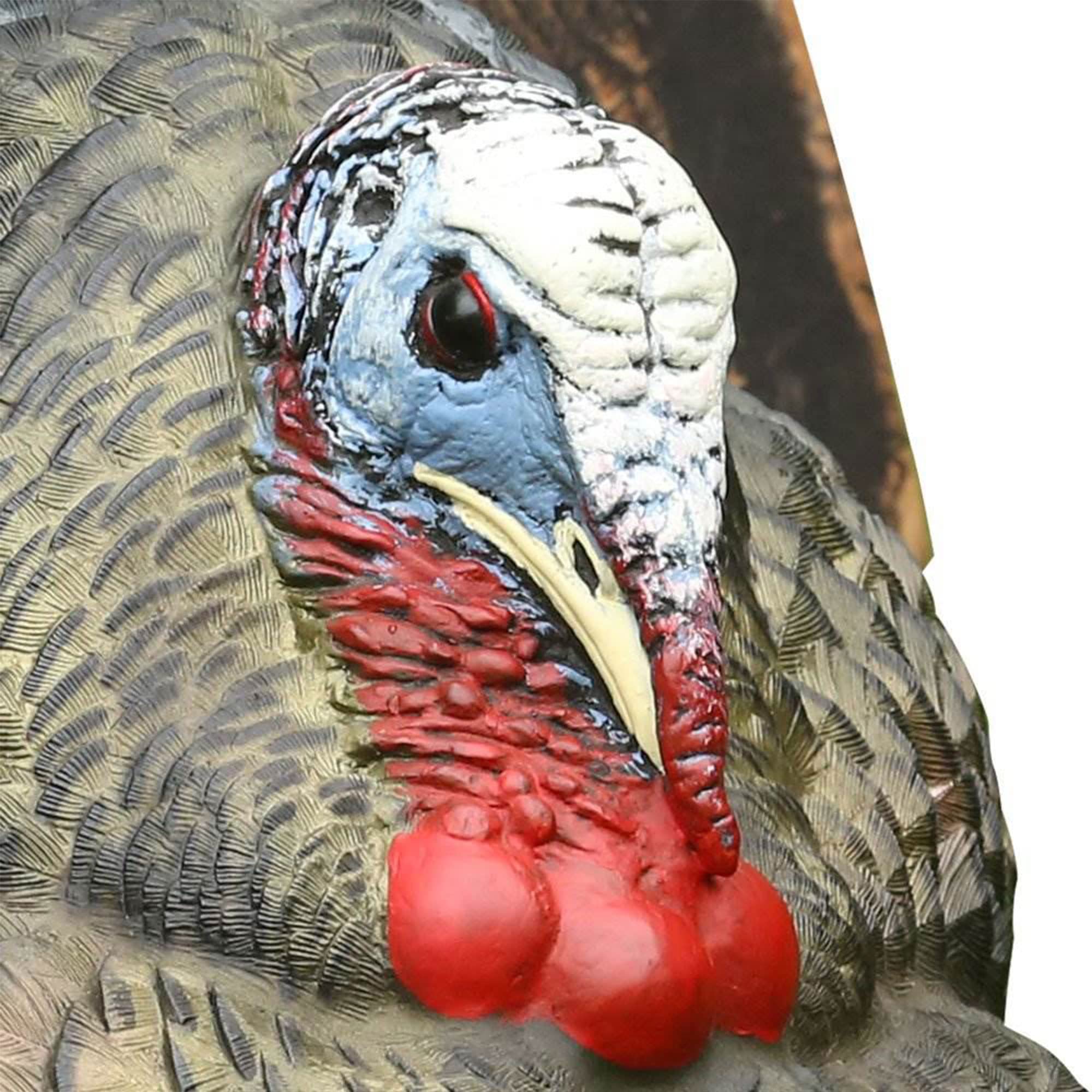 Avian-X LCD Strutter displays a dominant-posture stance that draws in wary gobblers.