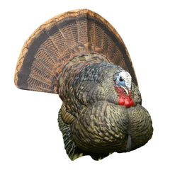 Avian-X LCD Strutter turkey decoy in full setup shows portable folding design for easy field carry.