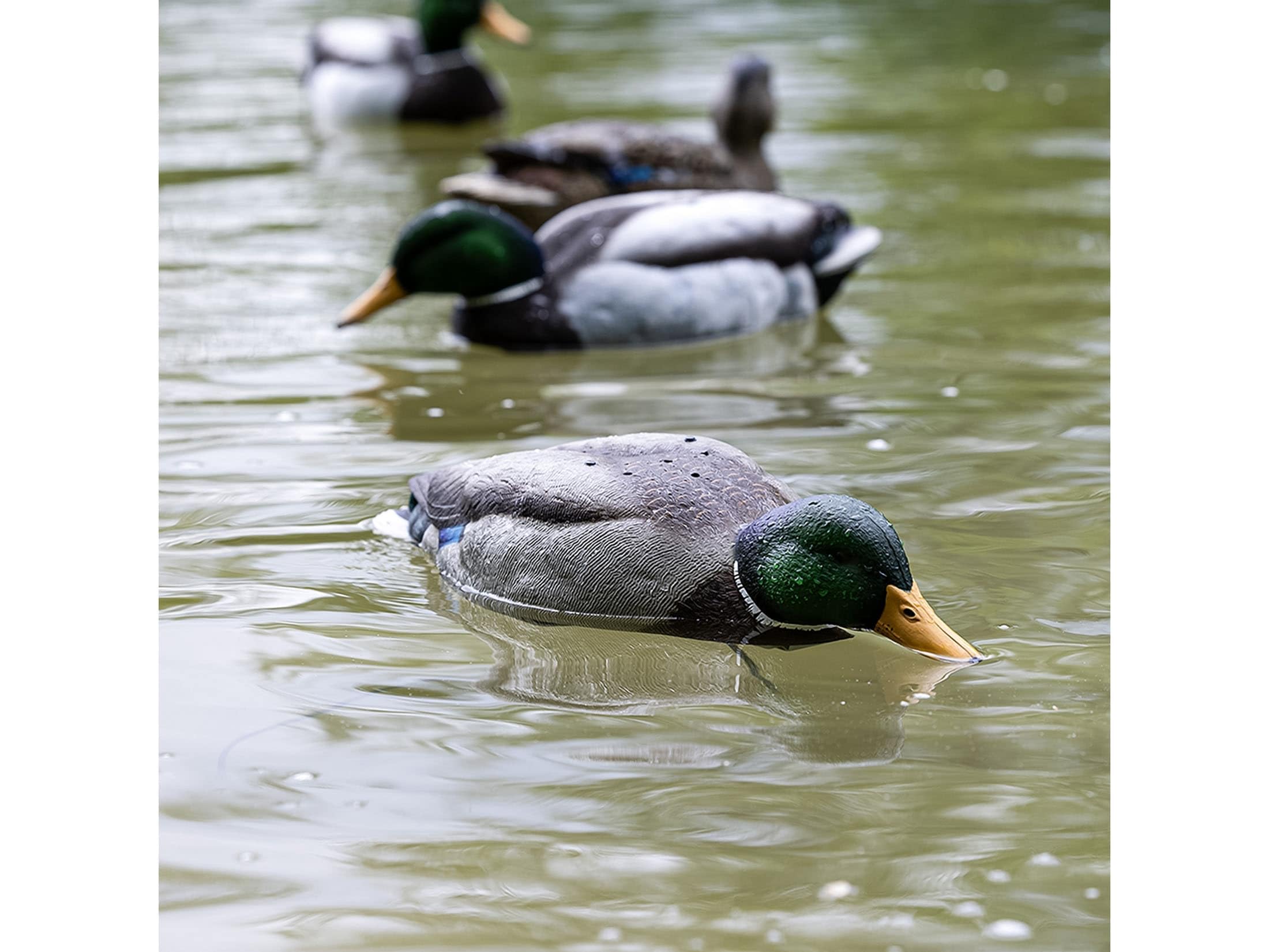 Avian-X natural bobbing motion adds water realism