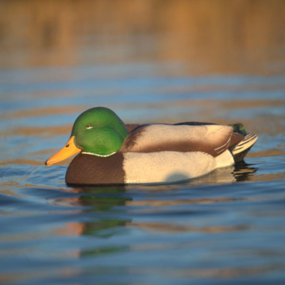Avian-X Power Swimmer non-fouling motor resists mud and weeds for consistent motion.