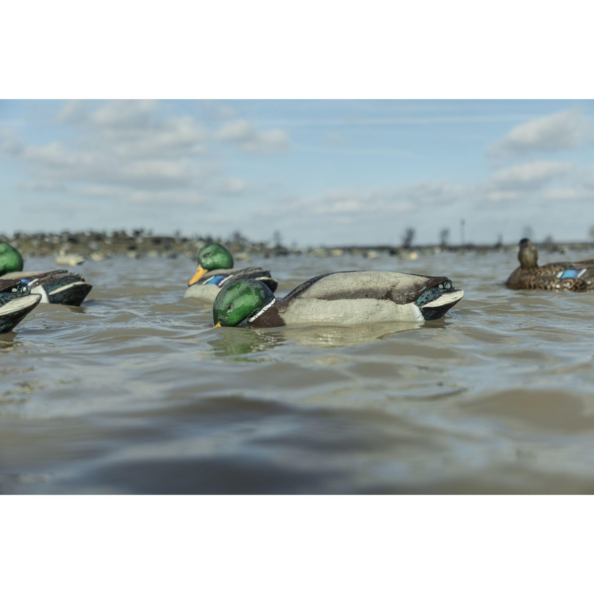 Avian-X decoys support open-water setups with natural-looking motion