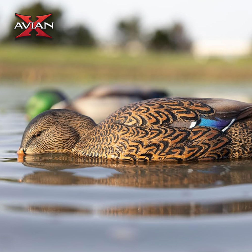 Avian-X Power Shaker durable paint adhesion resists weather and sun exposure.