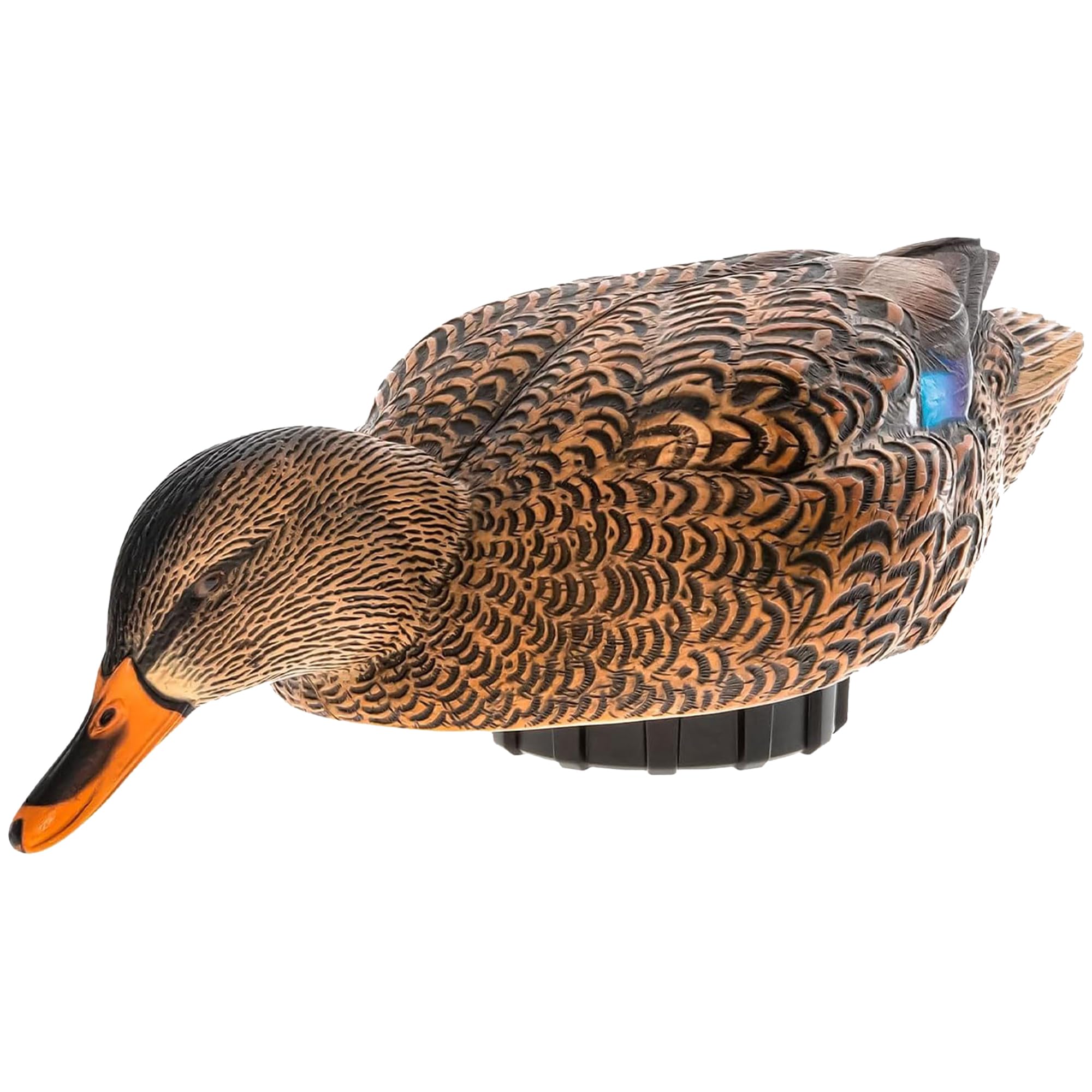 Avian-X Power Shaker mallard hen foam-filled body enhances buoyancy for stable open-water posing.