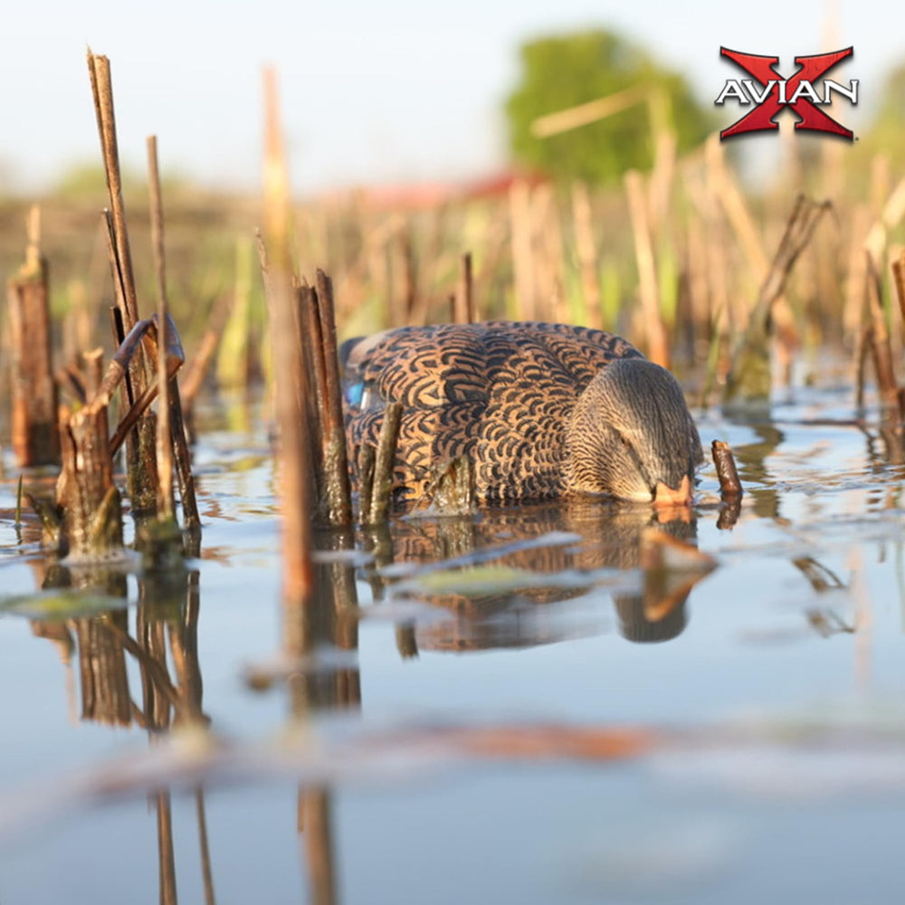 Avian-X Power Shaker multicolor feather detail helps birds notice decoys.