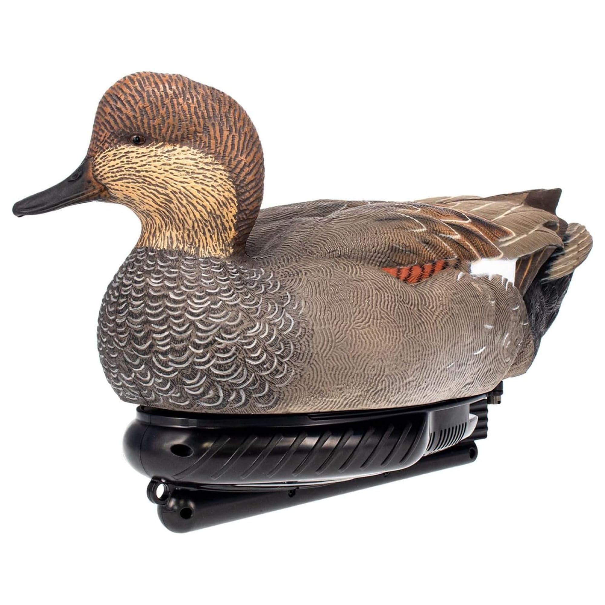 Close-up shows lifelike feather texture and color on the Gadwall Drake decoy.