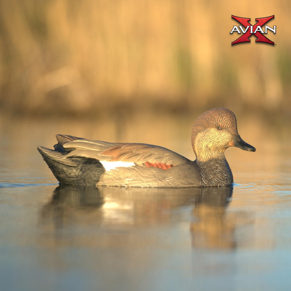 Rugged, shot-withstanding construction built for harsh waterfowl conditions.