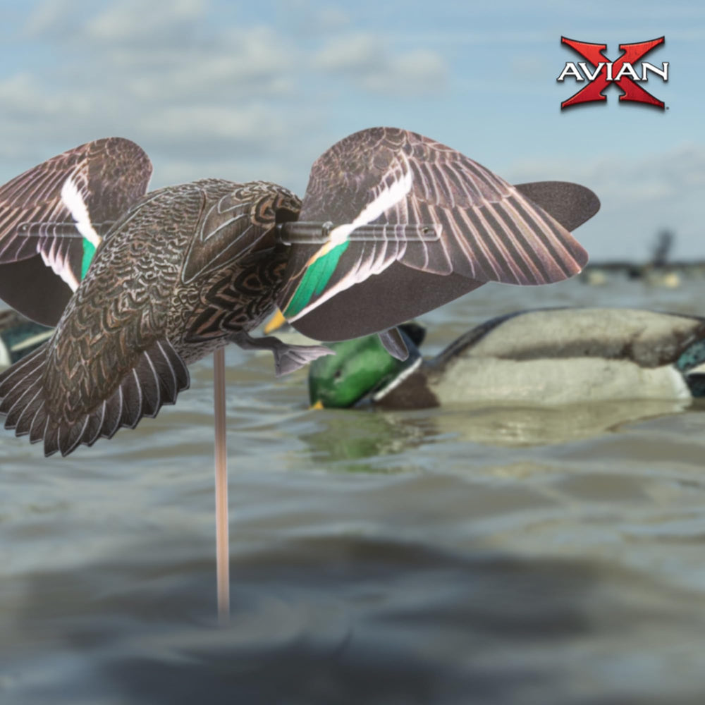 Avian-X PowerFlight contrasting wings create flash for long-range attraction at dawn.