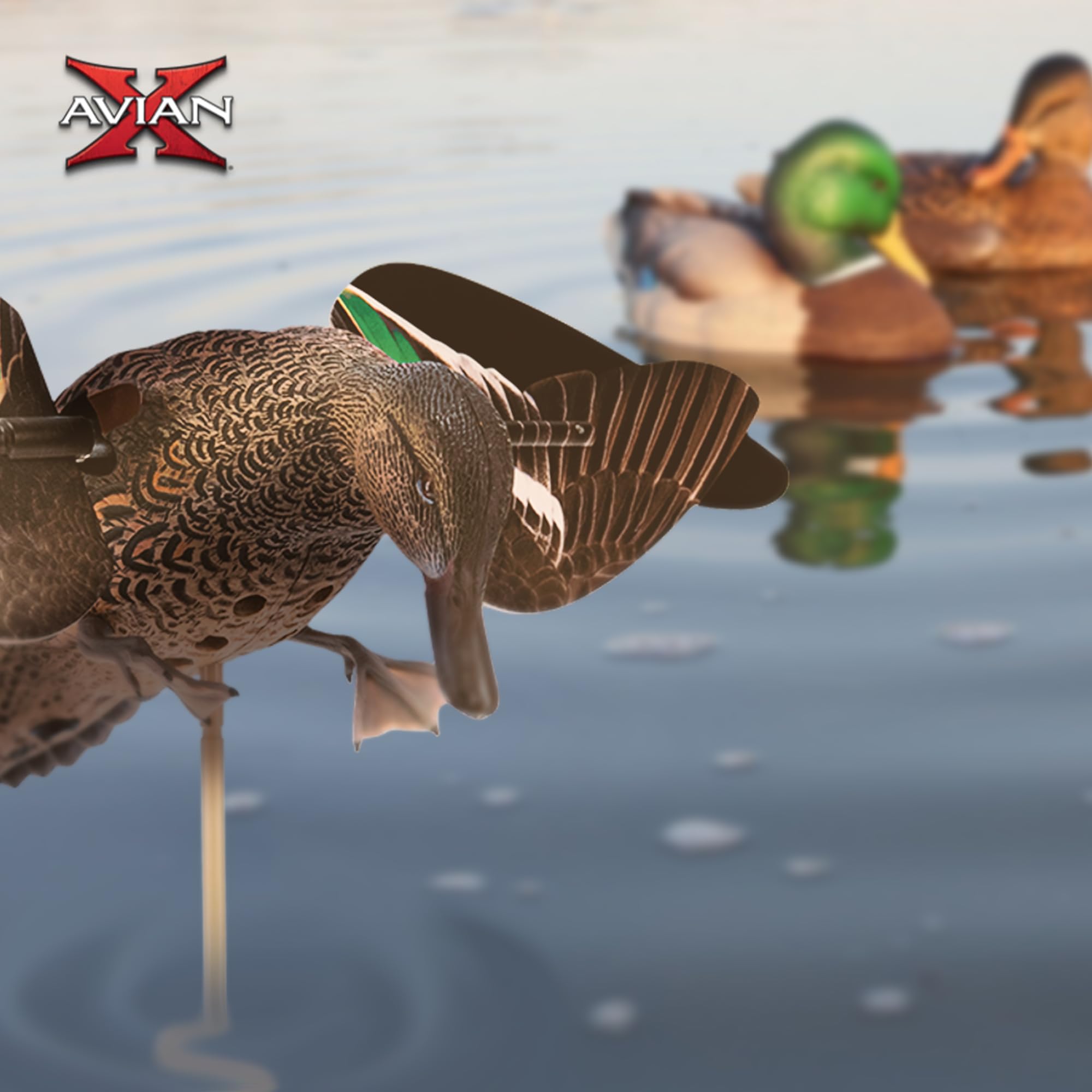 Avian-X PowerFlight durable materials withstand rugged field use.
