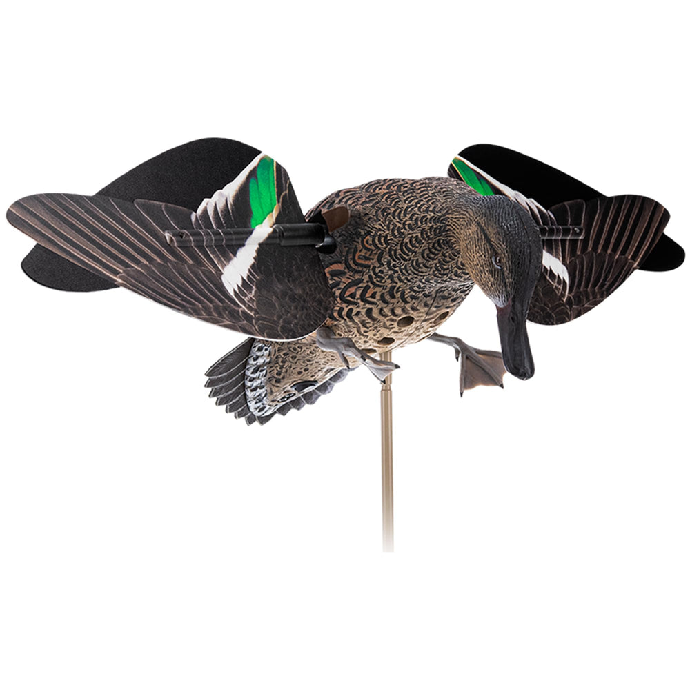 Avian-X PowerFlight Hen Teal Decoy shows lifelike posture for long-range duck attraction.