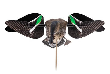 Avian-X PowerFlight Hen Teal wings for lifelike movement and adaptable decoy setups