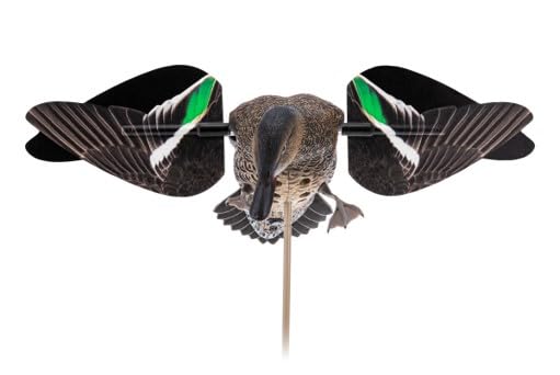 Avian-X PowerFlight Hen Teal wings for lifelike movement and adaptable decoy setups