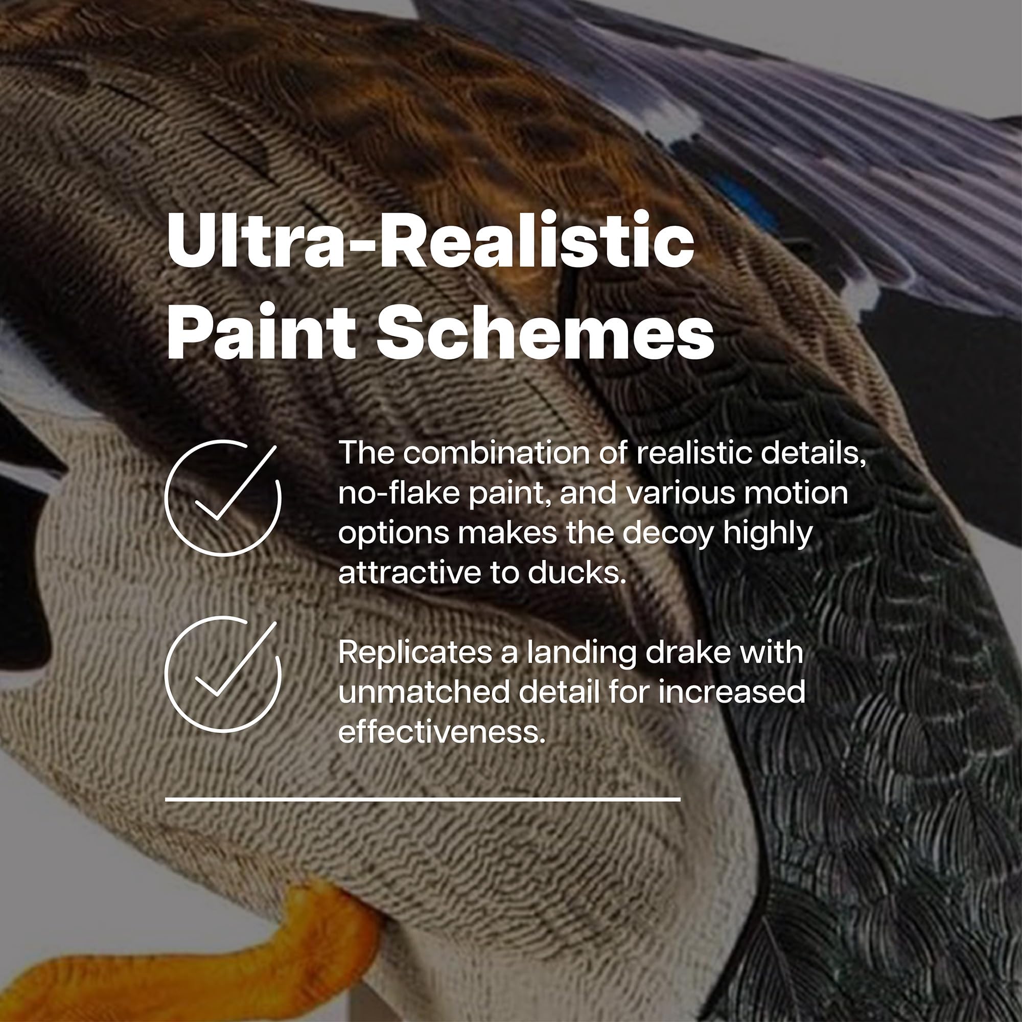 Avian-X PowerFlight remote-control operation enables hands-free motion at distance.