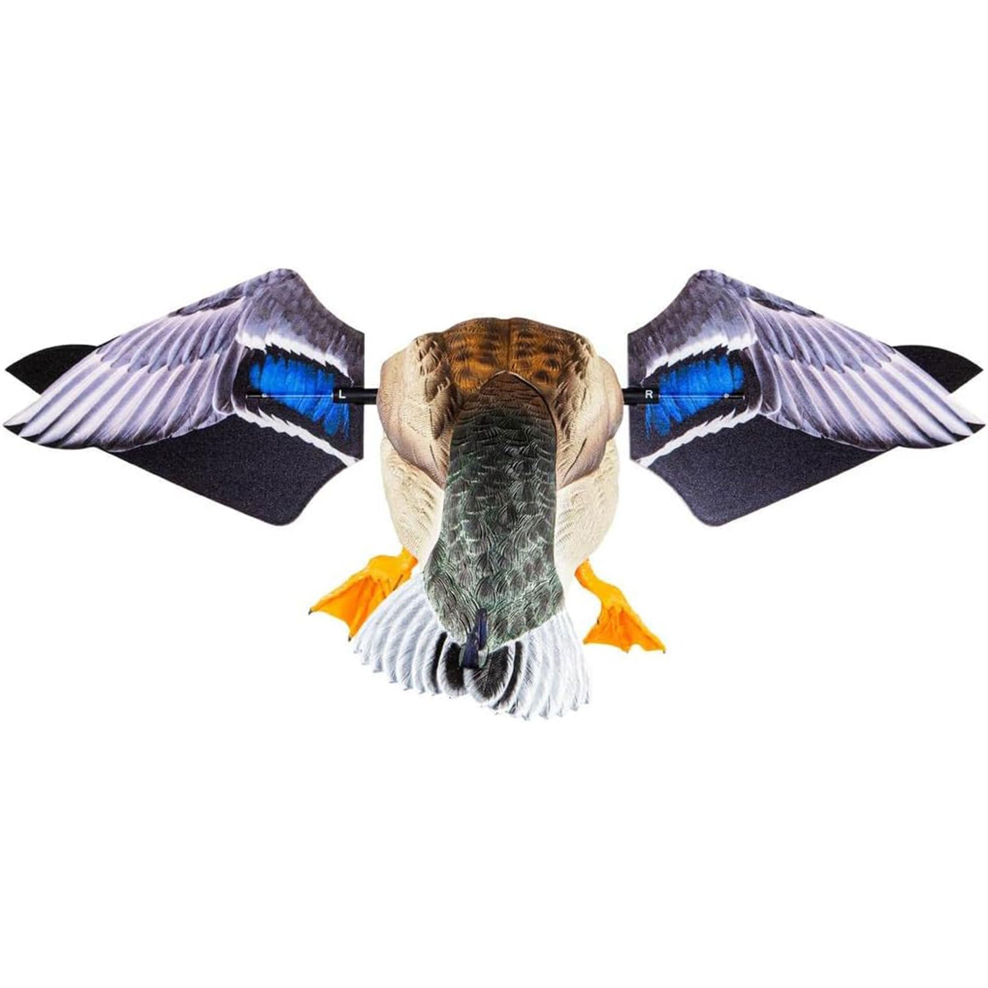 Avian-X PowerFlight two modes provide full spin or intermittent motion.