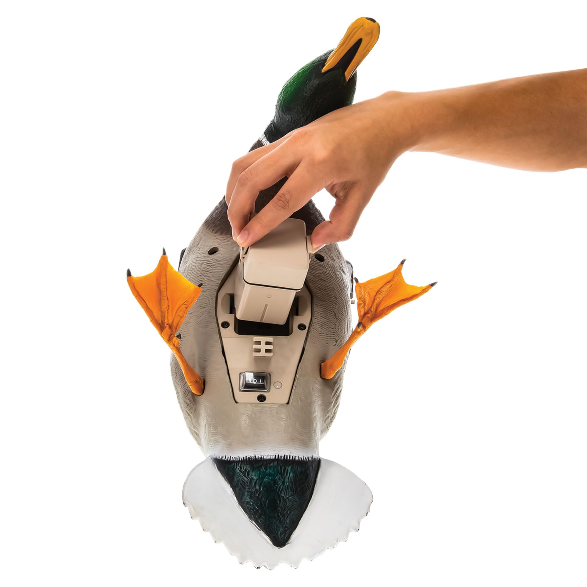 Avian-X PowerFlight weatherproof housing resists wind and rain during hunts.