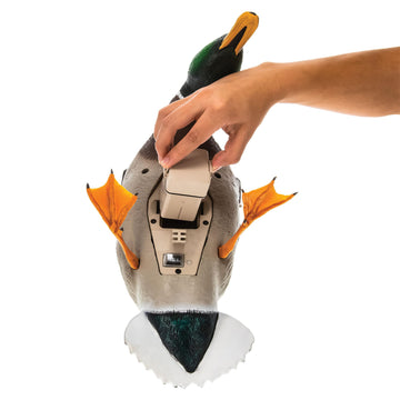 Avian-X PowerFlight weatherproof housing resists wind and rain during hunts.