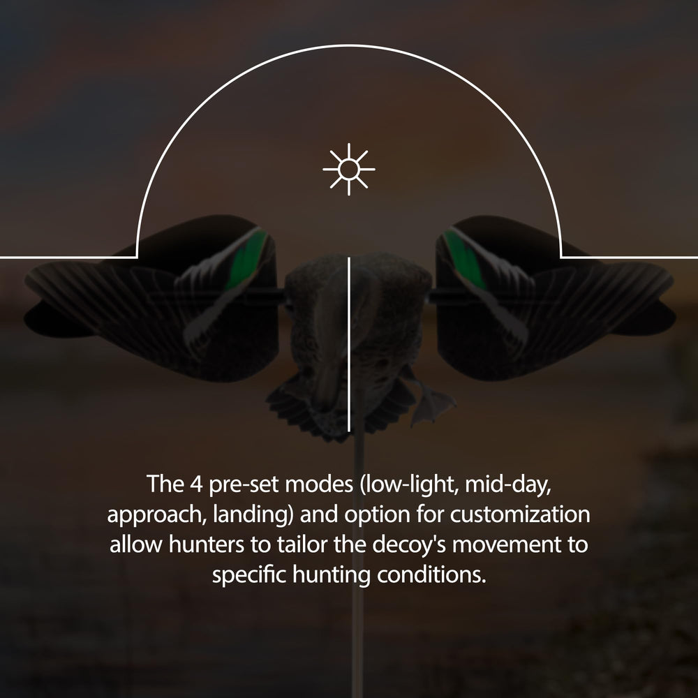 Avian-X PowerFlight wind-ready design performs in winds up to 30 mph.