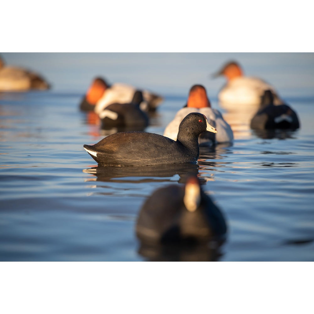 Avian X Top Flight Coot decoy uses durable materials for season-long use.