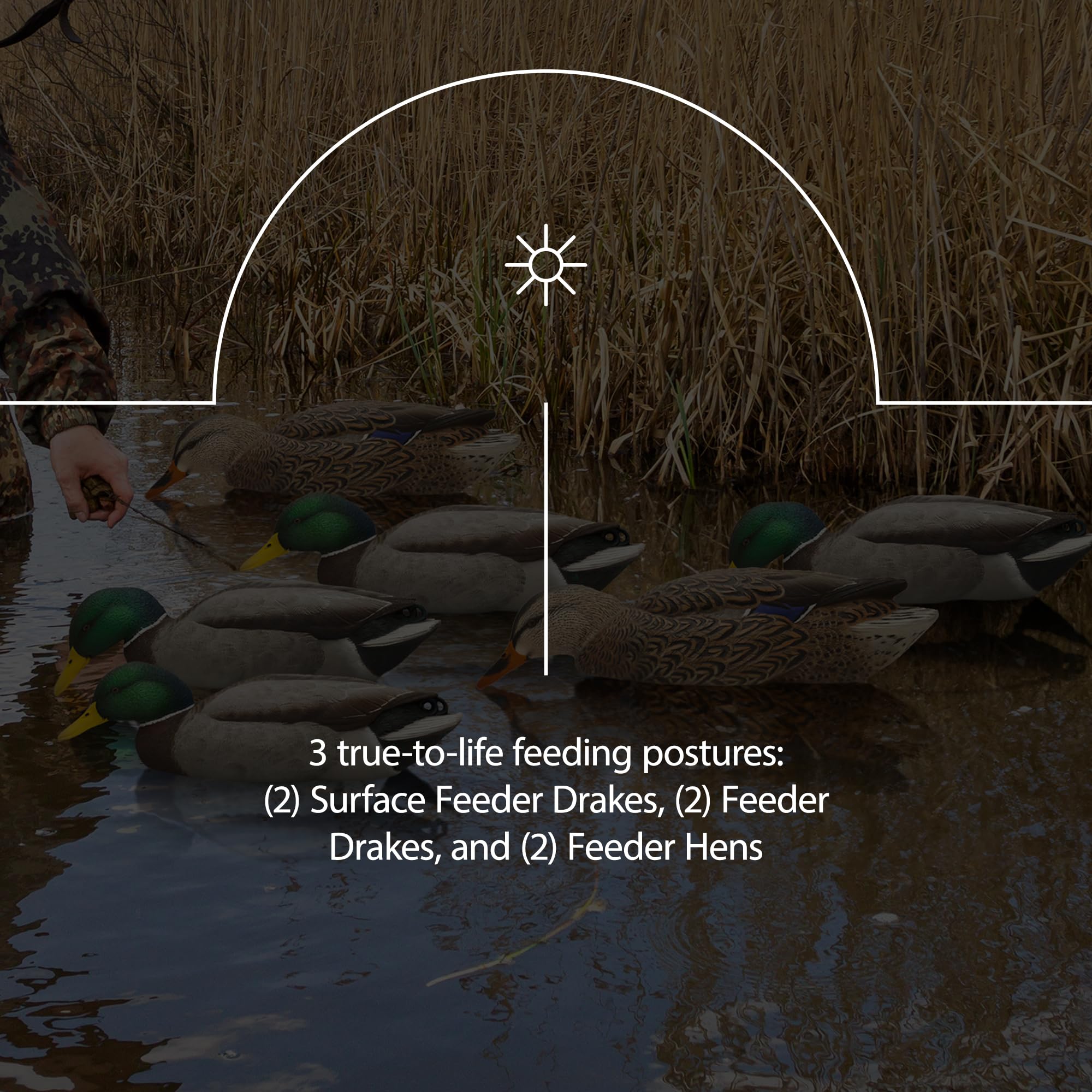 Avian-X Weight-forward keel enables lifelike swimming, six-pack, quick setup.