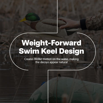 Avian-X decoys float with natural motion on water, six-pack, enhances blind setup.