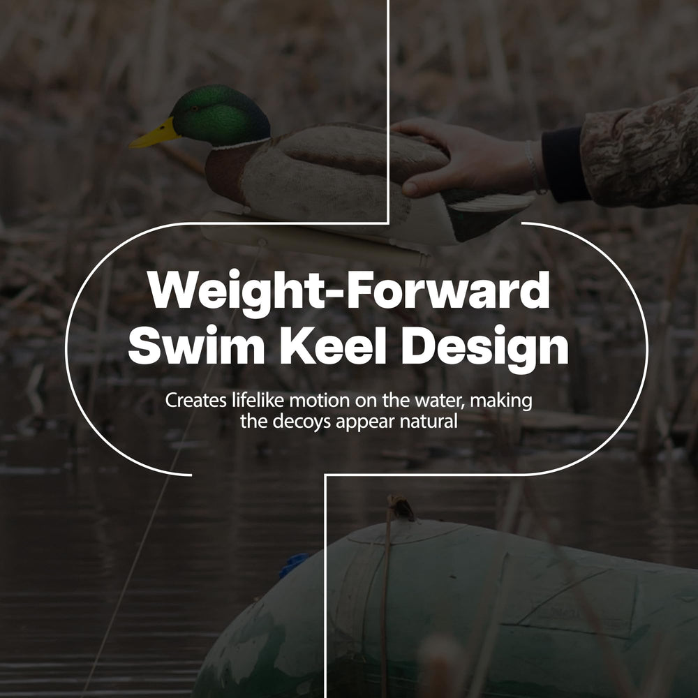 Avian-X decoys float with natural motion on water, six-pack, enhances blind setup.