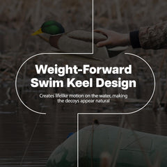Avian-X decoys float with natural motion on water, six-pack, enhances blind setup.