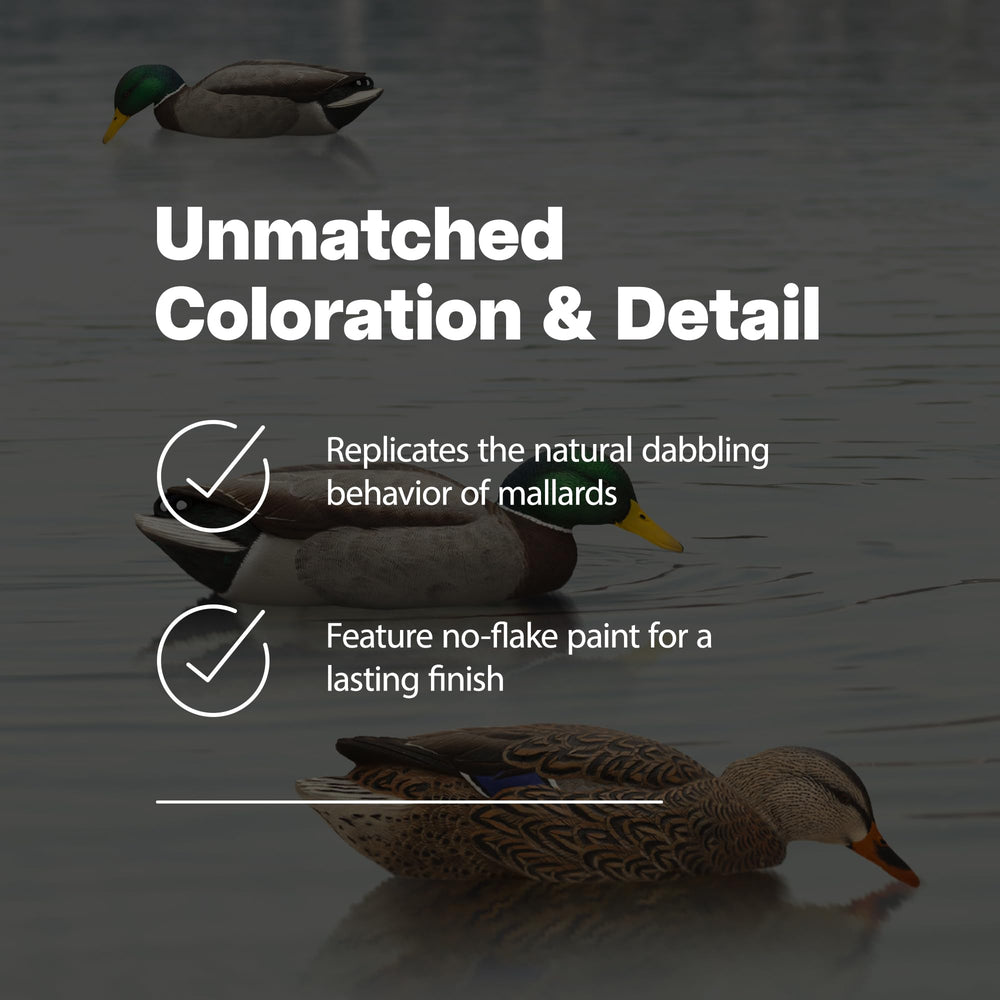 Avian-X close-up shows detailed head coloring and feather texture, six-pack, durable finish.