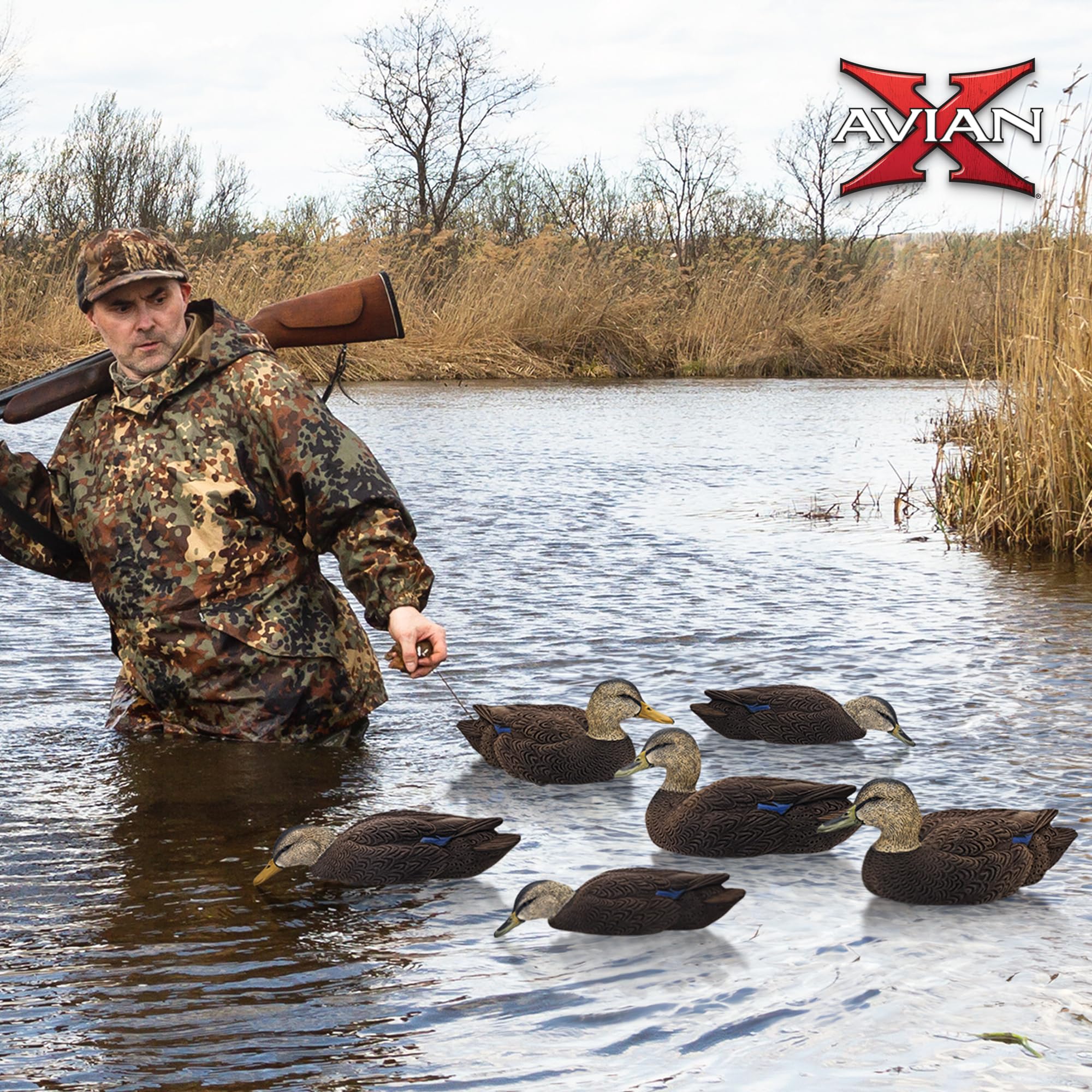 Avian-X Topflight Black Duck Decoy High-Head Hen demonstrates natural profile in a flock.