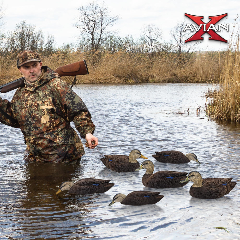 Avian-X Topflight Black Duck Decoy High-Head Hen demonstrates natural profile in a flock.