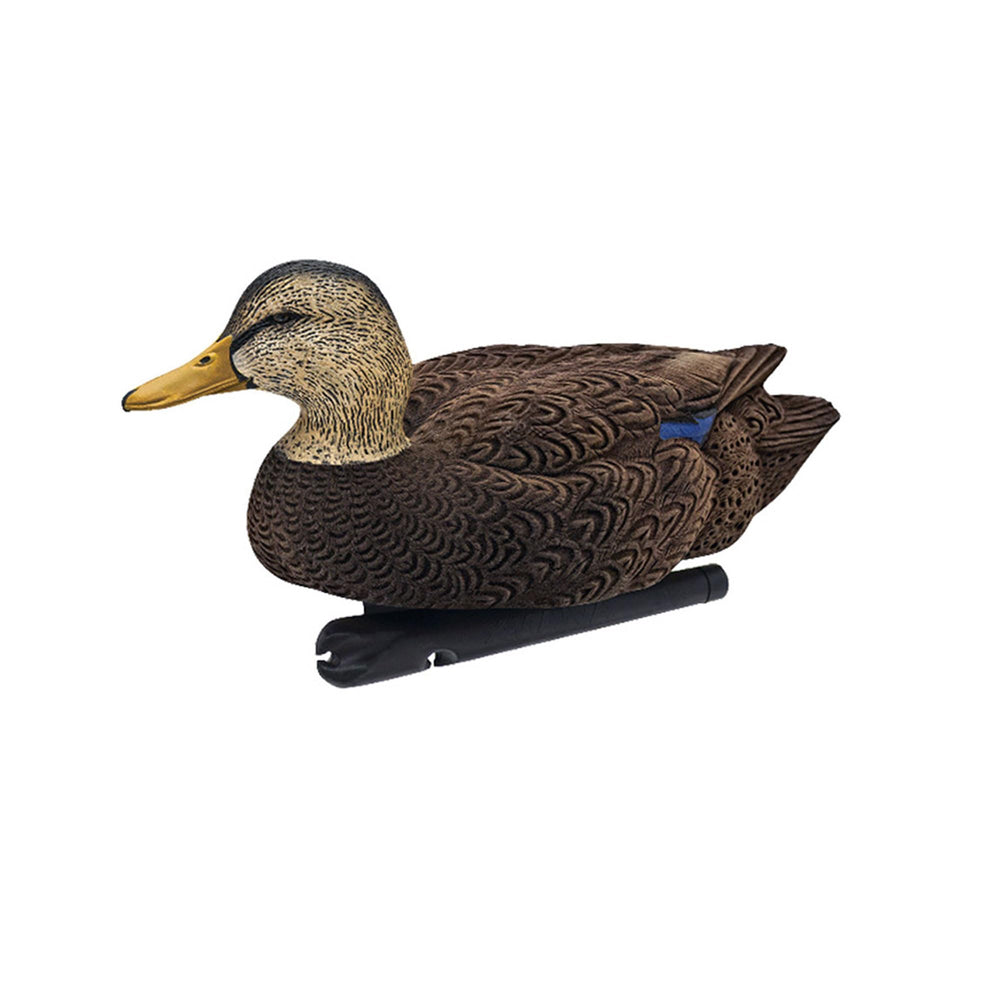 Avian-X Topflight Black Duck Paint Detail reveals durable, no-flake finish for long-lasting appearance.