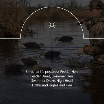 Avian-X Topflight Black Duck Decoy Swimmer Drake presenting continuous motion in wind.