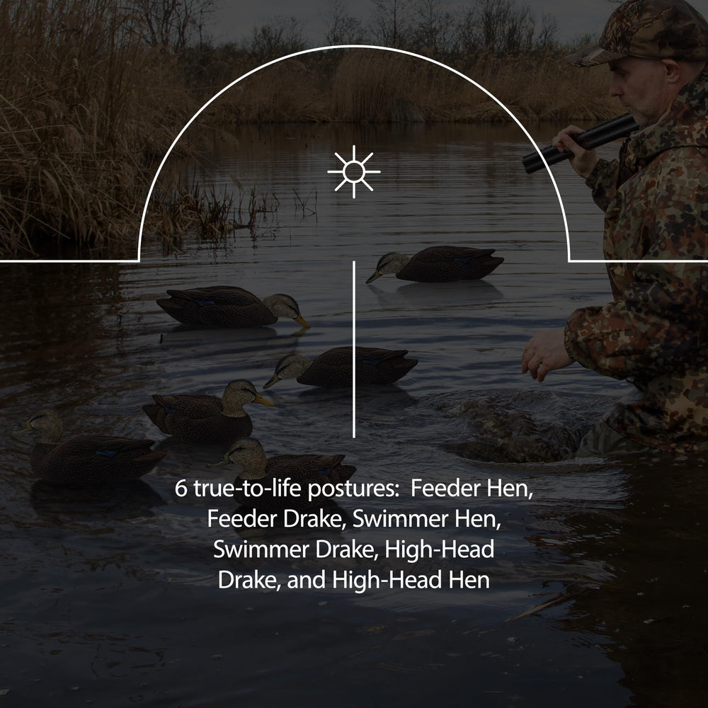 Avian-X Topflight Black Duck Decoy Swimmer Drake presenting continuous motion in wind.