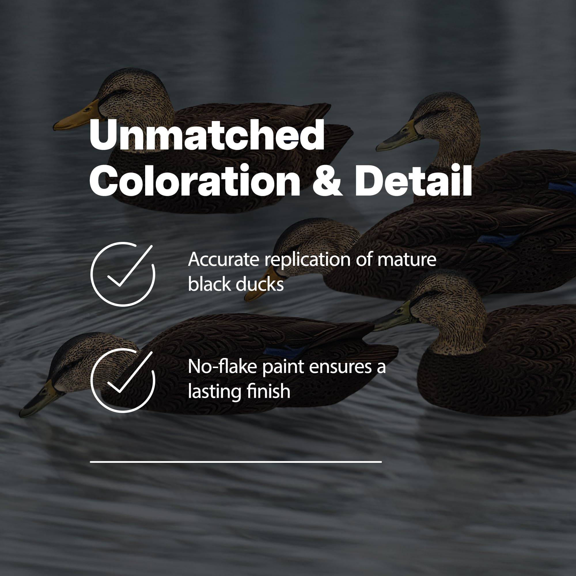 Avian-X Topflight Black Duck Decoy Swimmer Hen capturing lifelike movement in water.