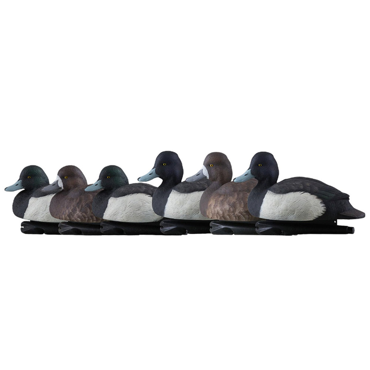Avian-X Topflight Blue Bills decoy set with high-contrast colors attracts ducks at distance.
