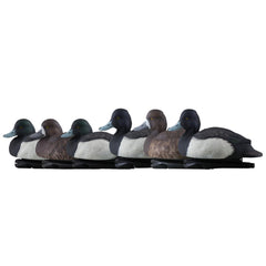 Avian-X Topflight Blue Bills decoy set with high-contrast colors attracts ducks at distance.