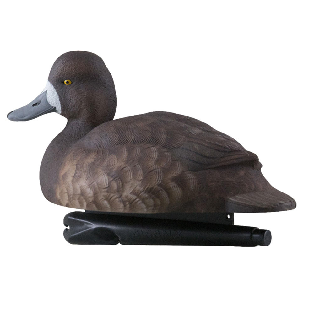 Dynamic movement of blue bills decoys in water with realistic action.