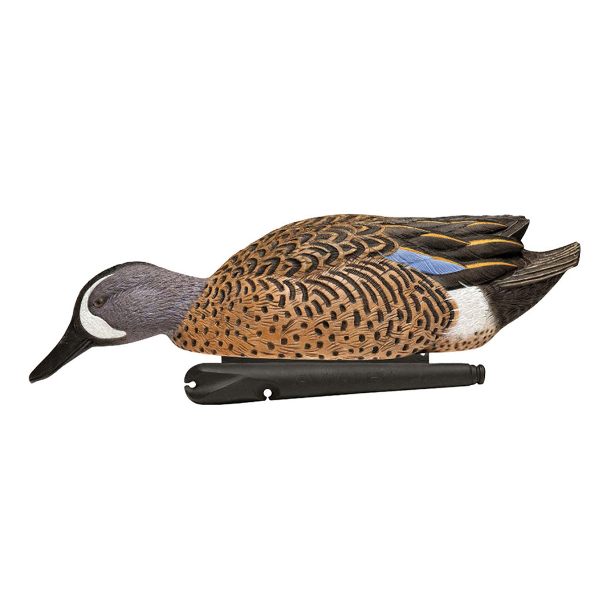 Avian-X Topflight teal decoys in table display for quick setup and realistic lure