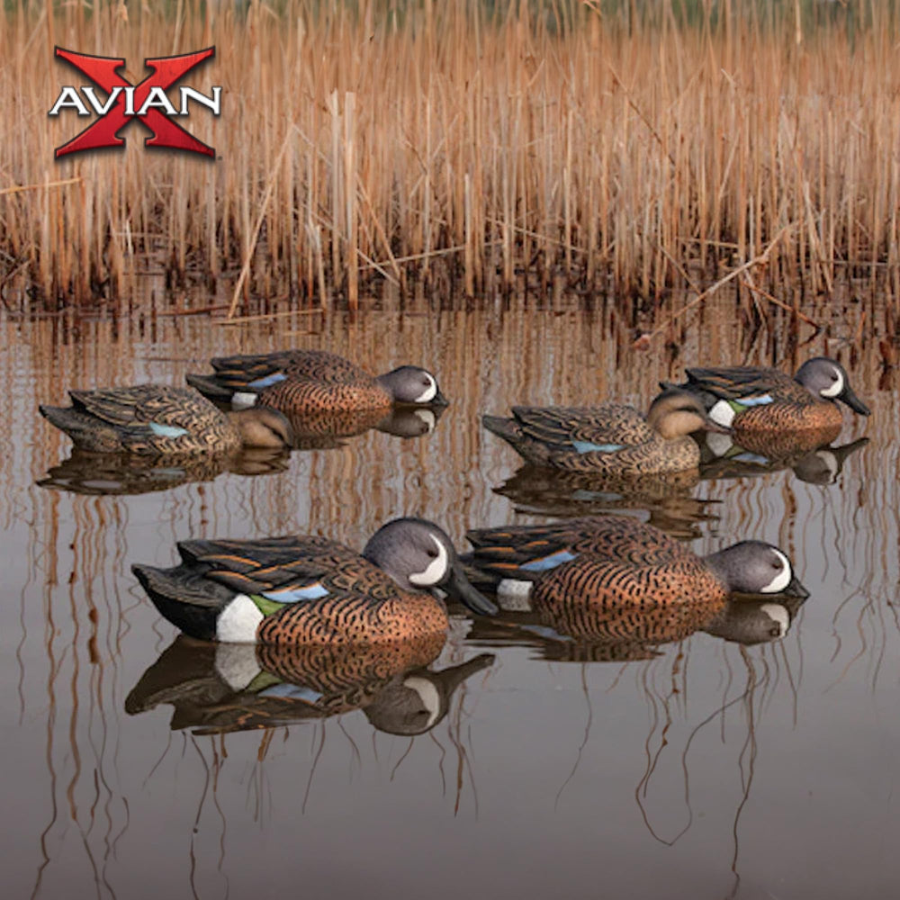 Avian-X easy-to-position decoys save time during setup