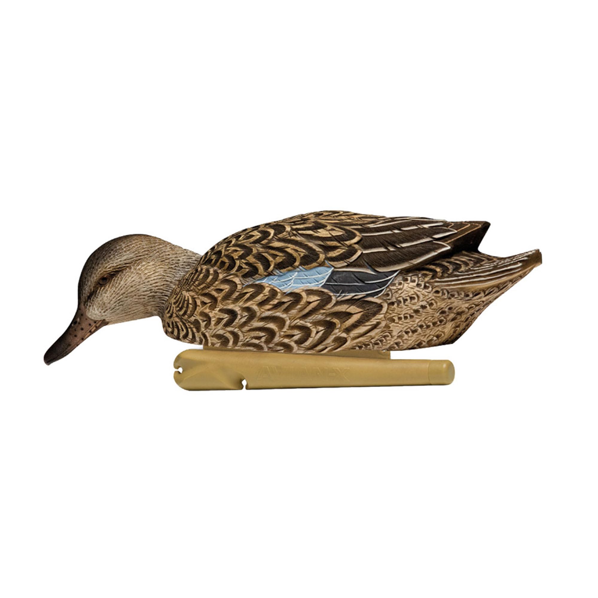 Avian-X six-pack creates multiple angles for a convincing flock in your area