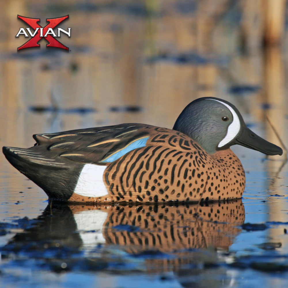 Avian-X teal decoys blend with marshes, improving concealment and water compatibility