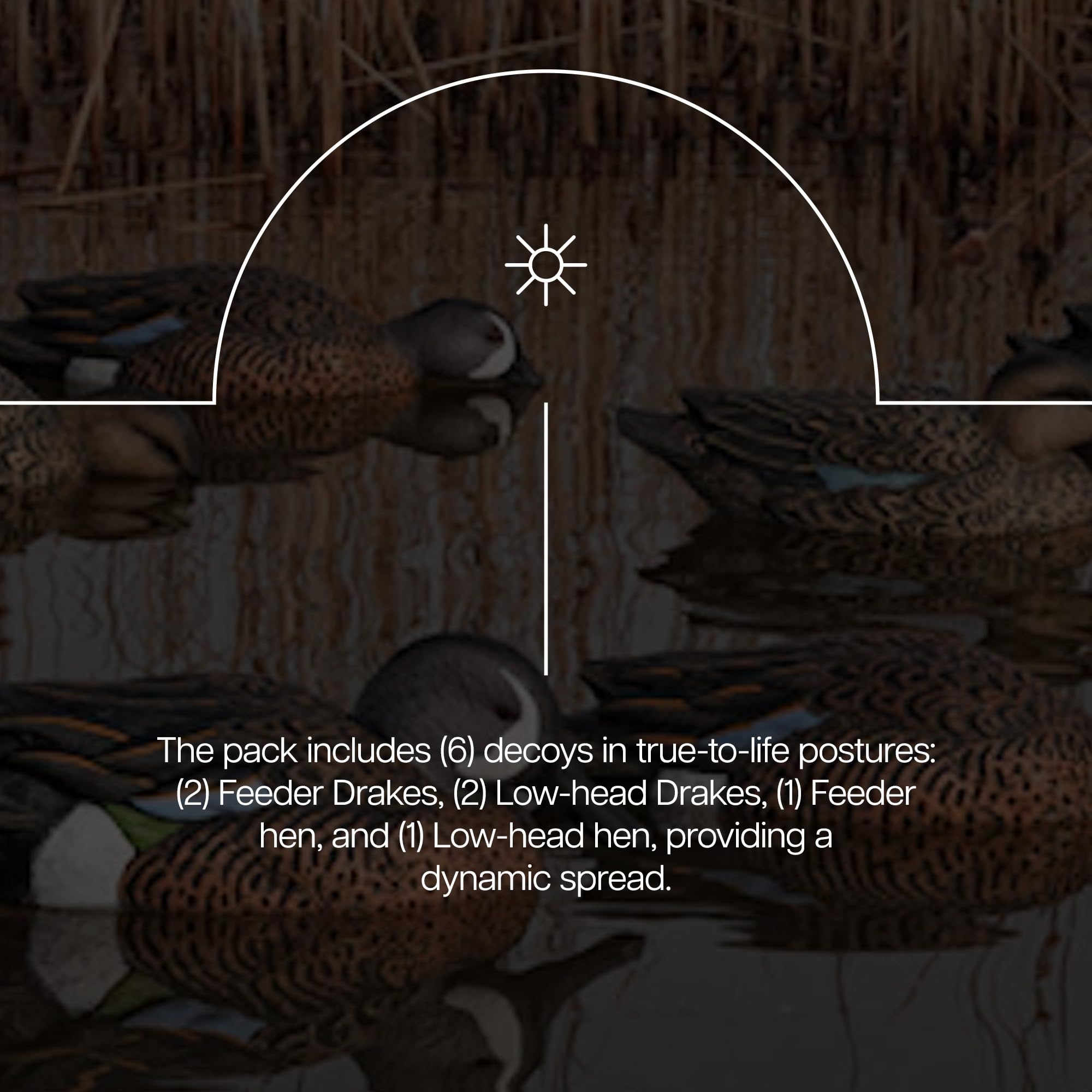 Avian-X Topflight teal decoys in pond setting suitable for versatile use