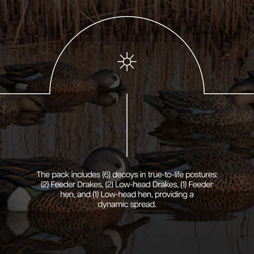 Avian-X Topflight teal decoys in pond setting suitable for versatile use