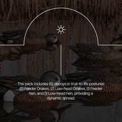 Avian-X Topflight teal decoys in pond setting suitable for versatile use